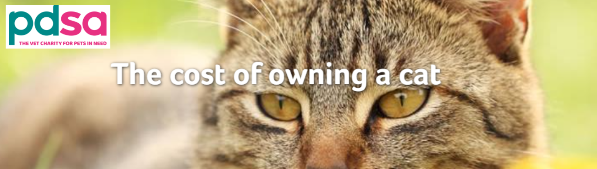 PDSA Cat 1 PDSA Cat 1